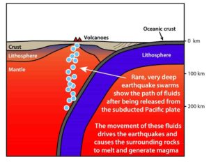 Deep earthquake swarms show the path of fluids released from the subducted Pacific Plate. 