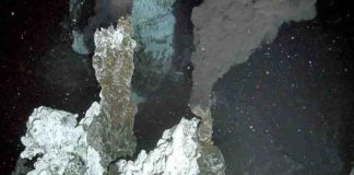 hydrothermal vent