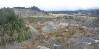 The March 22, 2014 SR530 landslide near Oso, Washington