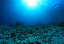 When carbon emissions pass a critical threshold, it can trigger a spike-like reflex in the carbon cycle, in the form of severe ocean acidification that lasts for 10,000 years, according to a new MIT study.