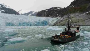 Researchers on the MV Steller are in front of the terminus of Alaska's LeConte Glacier in August 2016. An over-the-side pole holds the sonar instrument that collects data on the subsurface ice face as the vessel moves slowly through the icy water. Credit: David Sutherland