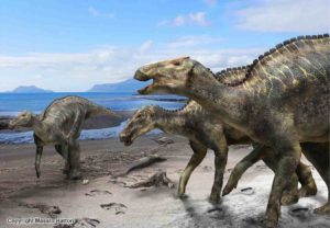 A reconstruction of Kamuysaurus japonicus. Credit: Kobayashi Y., et al, Scientific Reports, September 5, 2019