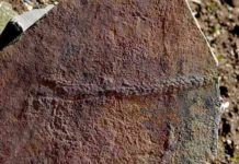 A fossilized trail of the animal Yilingia spiciformis, dating back 550 million years. The trail was found in China by a team of scientists including Shuhai Xiao of the Virginia Tech College of Science. Credit: Virginia Tech College of Science