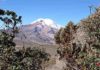 The volcano Chimborazo, Ecuador, that Alexander von Humboldt surveyed in 1802. Photo: Spyros Theodoridis/CMEC