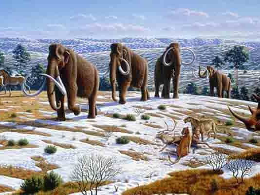 Woolly mammoth illustration Mauricio Antón © 2008 Public Library of Science