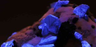 Benitoite crystals under UV light
