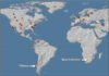 A world map that shows where similary platinum spikes have been discovered in the world. The latest discovery is at the Wonderkrater site in Limpopo Province, South Africa. Credit: Francis Thackeray/Wits University