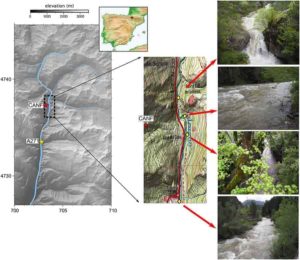Studying the snowmelt episodes of a Pyrenean river with a seismometer