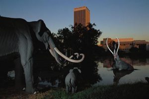 The pit of oozing oil in downtown Los Angeles has been trapping animals and preserving their skeletons for at least 40,000 years. The museum at the tar pits displays the skeletons.