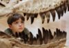 The new dinosaur is called Tralkasaurus, which means "thunder reptile" in the indigenous Mapuche language common in Patagonia. In this file photo, a boy in Melbourne, Australia inspects the teeth of a theropod dinosaur