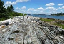Research suggest that rocks colliding inside fault zones, like this one in Maine, may contribute to damaging high-frequency earthquake vibrations. Credit: Julia Carr
