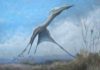 Reconstruction of the giant pterosaur Hatzegopteryx launching into the air, just after the forelimbs have left the ground. Credit: Mark Witton