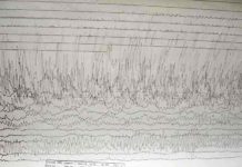 A seismogram of 2011 Tōhoku earthquake and tsunami recorded at Weston Observatory in Massachusetts, USA. Credit: Image from Wikimedia Commons.