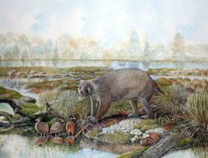 Life reconstruction of the giant wombat relative Mukupirna nambensis on the shores of Lake Pinpa 25 million years ago. Also shown are stiff-tailed ducks (foreground) and flamingos (background), the remains of which are known from the same fossil deposit. Credit: Painting by Peter Schouten.