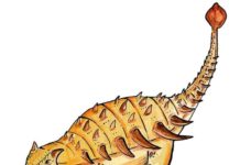 What the ankylosaur Bissektipelta archibaldi might look like. Credit: the authors of the paper.