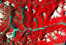 False color satellite image of the Taimali catchment area in southeastern Taiwan in August 2009 after typhoon Morakot. Red: vegetated surface, grey: barren surface (Image: LANDSAT-7 / NASA, JPL).