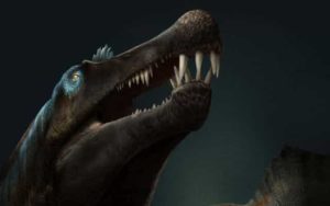 Artist’s impression of Spinosaurus. Credit: Davide Bonadonna