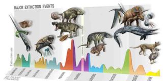 Summary of major extinction events through time, highlighting the new, Carnian Pluvial Episode at 233 million years ago. Credit: D. Bonadonna/ MUSE, Trento