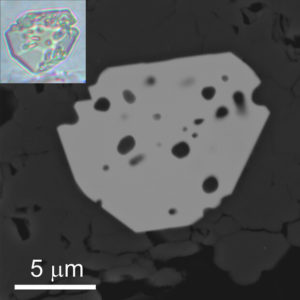 Larger: A back-scattered electron image of a microscopic crystal of priscillagrewite-(Y) enclosed in fluorapatite. Inset: An optical image of the same crystal. Credit: American Mineralogist / Irina Galuskina et al.