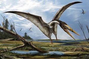 Pterosaurs with these types of beaks are better known at the time period from North Africa, so it would be reasonable to assume a likeness to the North African Alanqa. Credit: Attributed to Davide Bonadonna