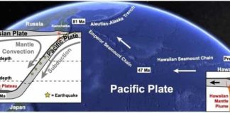 The journey of Hawaii's pancake from its creation at the mantle plume to where it slipped under the Pacific plate and sunk deep into the Earth's mantle. Credit: Michigan State University