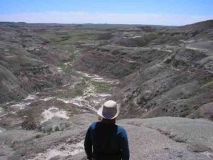 Researcher overlooking one of the two field sites for the study, the Frenchman Valley in Chambery Coulee Saskatchewan in July 2017. Credit: McGill University