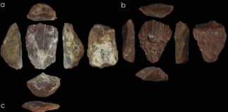 Photos of Nubian Levallois cores associated with Neanderthal fossils. Credit © UCL, Institute of Archaeology & courtesy of the Penn Museum, University of Pennsylvania
