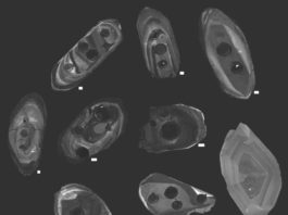 Zircons studied by the research team, photographed using cathodoluminescence, a technique that allowed the team to visualize the interiors of the crystals using a specialized scanning electron microscope. Dark circles on the zircons are the cavities left by the laser that was used to analyze the age and chemistry of the zircons.Scientists led by Michael Ackerson, a research geologist at the Smithsonian's National Museum of Natural History, provide new evidence that modern plate tectonics, a defining feature of Earth and its unique ability to support life, emerged roughly 3.6 billion years ago. The study, published May 14 in the journal Geochemical Perspective Letters, uses zircons, the oldest minerals ever found on Earth, to peer back into the planet's ancient past.The team tested more than 3,500 zircons, each just a couple of human hairs wide, by blasting them with a laser and then measuring their chemical composition with a mass spectrometer. These tests revealed the age and underlying chemistry of each zircon. Of the thousands tested, about 200 were fit for study due to the ravages of the billions of years these minerals endured since their creation. Credit: Michael Ackerson, Smithsonian.