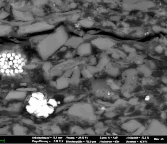 The Alum Shale, here an example of a coastal deposit, consists of quartz and potassium Feldspar clasts as well as conspicuous Pyrite crystals (here: white) embedded in a clayey matrix. Scanning electron micrograph (scale: lower image edge length corresponds to approx. 40 μm). Credit: Schulz, GFZ