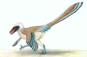 Vectiraptor greeni, a new fierce predatory dinosaur from the Isle of Wight. Image credit: Megan Jacobs