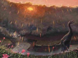 Evidence suggests an asteroid impact that killed off most dinosaurs might have happened in spring. Credit: Joschua Knüppe