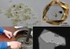 Diamonds Show Depth Extent of Earth’s Carbon Cycle