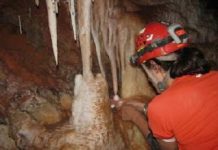 Cave reveals Southwest’s abrupt climate swings during Ice Age