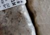 Ancient ‘hyperthermals’ a guide to anticipated climate changes
