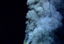 ‘Fool’s Gold’ from the deep is fertilizer for ocean life