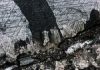 Team debunks theory on end of ‘Snowball Earth’ ice age