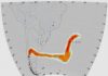 Earth from space: A gush of volcanic gas
