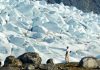 332 colossal canyons just revealed beneath Antarctica’s ice Anders Carlson, a UW–Madison geologist, surveys an outlet glacier in southwest Greenland. Carlson and colleagues from UW–Madison and Oregon State University have shown that melting ice from Greenland may have raised ocean levels less than expected during the most-recent prolonged warm spell on Earth. The surprising patterns of ice melt found by new research suggest that Greenland’s ice sheet may be more stable — and Antarctica’s less stable — than previously thought. Credit: Photo courtesy Robert Hatfield, Oregon State University