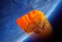 The Cause of Earth’s Largest Environmental Catastrophe