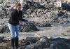 Scientists look deeper for coal ash hazards