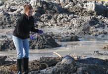 Scientists look deeper for coal ash hazards
