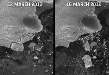 Tohoku tsunami created icebergs in Antarctica