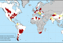 World Shale Gas Resources