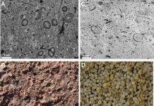 CSI-Style Investigation of Meteorite Hits On Earth