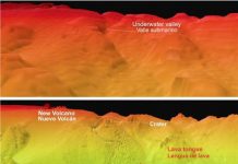 Mapping the Formation of an Underwater Volcano