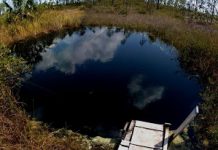 Life Beyond Earth? Underwater Caves in Bahamas Could Give Clues
