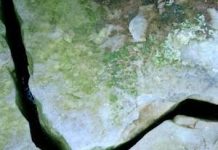 New Way to Study Ground Fractures