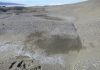 Salty Soil Can Suck Water out of Atmosphere: Could It Happen On Mars?