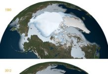 Thickest Parts of Arctic Ice Cap Melting Faster