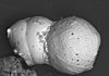 New Research Supports Theory of Extraterrestrial Impact